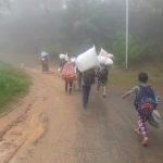 A previous photo showing IDPs in Mindat township fleeing their homes following the military conflict (Photo: CG)