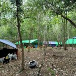 New arrivals of refugees from Myanmar taking temporary shelter along the border (Photo: CG)